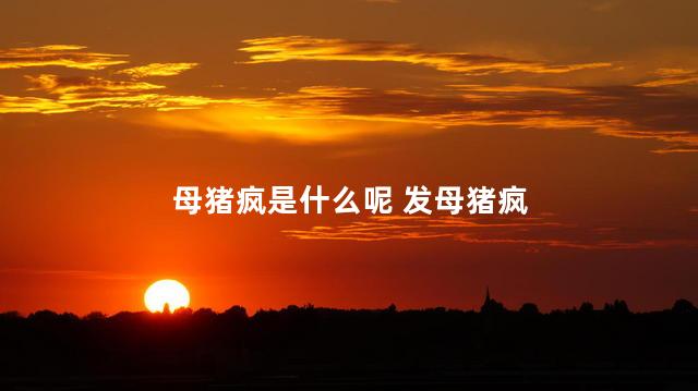 母猪疯是什么呢 发母猪疯